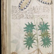 The Voynich Manuscript- A book that nobody can read