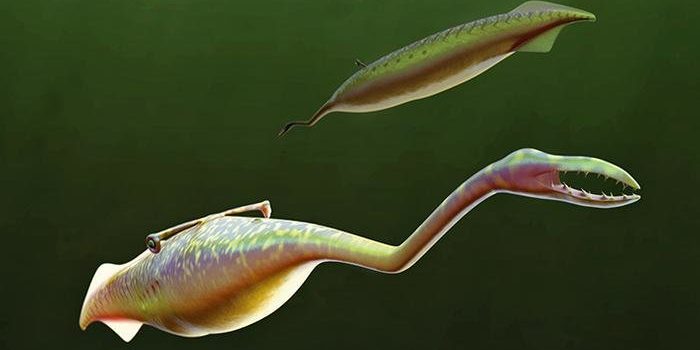 The Tully Monster